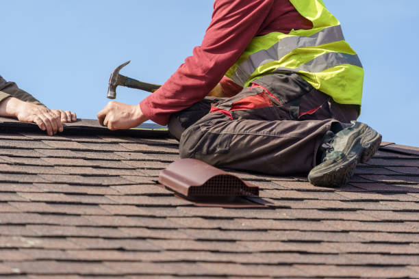 Best Roof Maintenance Services  in Hampton, TN