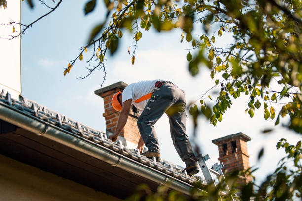 Best Commercial Roofing Services  in Hampton, TN