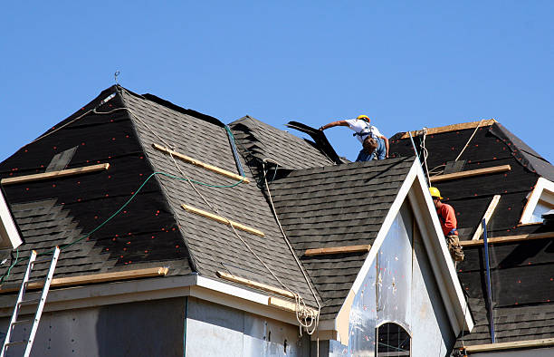 Best Metal Roofing Contractor  in Hampton, TN