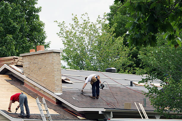 Best Roof Leak Repair  in Hampton, TN